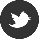 Twitter - Zerin Development