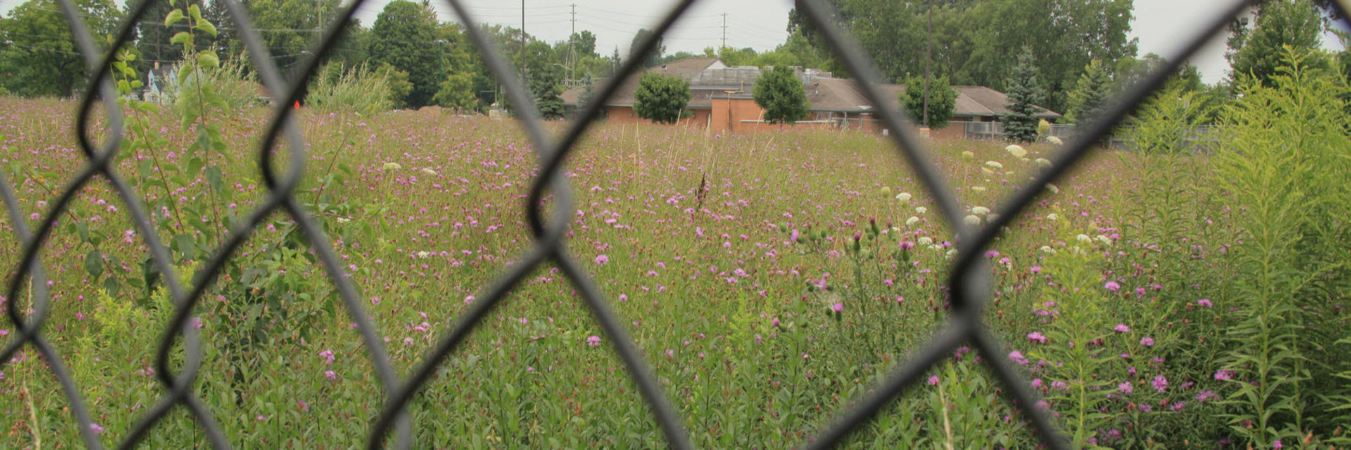 Proposed development site at 440 Clarke Road for a Zerin Development Corporation affordable housing project in London Ontario.